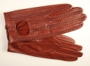 Летние женские перчатки Автомобильные женские перчатки Eleganzza, цвет: коньяк IS783 2008 г инфо 10912r.